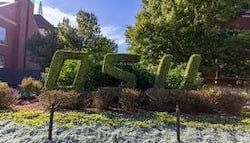 download - 2025-08-23T180013.398