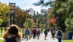 download - 2025-10-24T170950.139