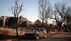 download - 2025-12-19T123125.027