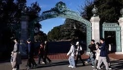 download - 2026-02-17T140743.533