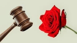 download - 2026-03-04T130603.297