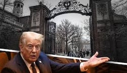 download - 2026-04-03T082951.041