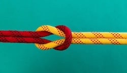 istockphoto-1194020980-612x612