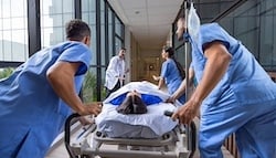 istockphoto-2211322376-612x612