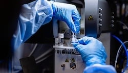 istockphoto-2218559032-612x612 (1)