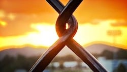 istockphoto-2235131878-612x612