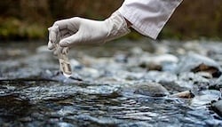 istockphoto-2235272368-612x612