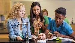 istockphoto-498905553-612x612