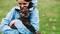 istockphoto-605756292-612x612